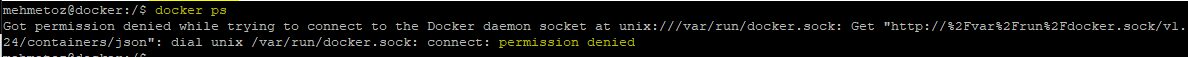 09 | Docker Non-Root User