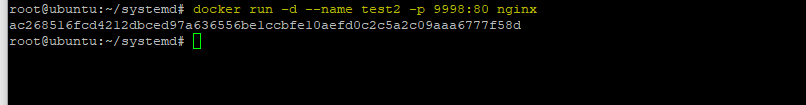 docker container init use