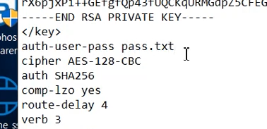 sophos sslvpn parolasını kayıt etme
