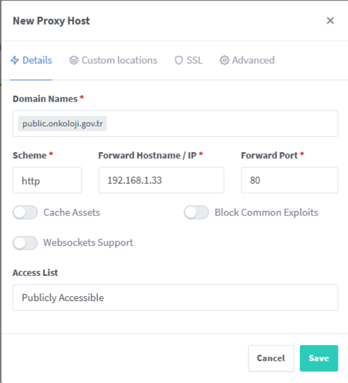 Nginx Proxy Manager Return 301