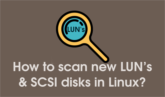 Linux LUN and ISCI Disk Tarama