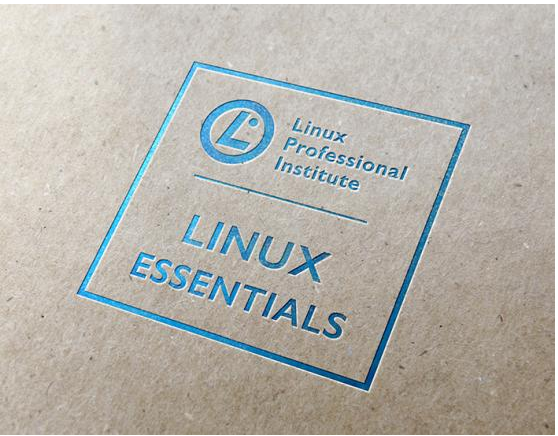 Linux Essentials Modül 04