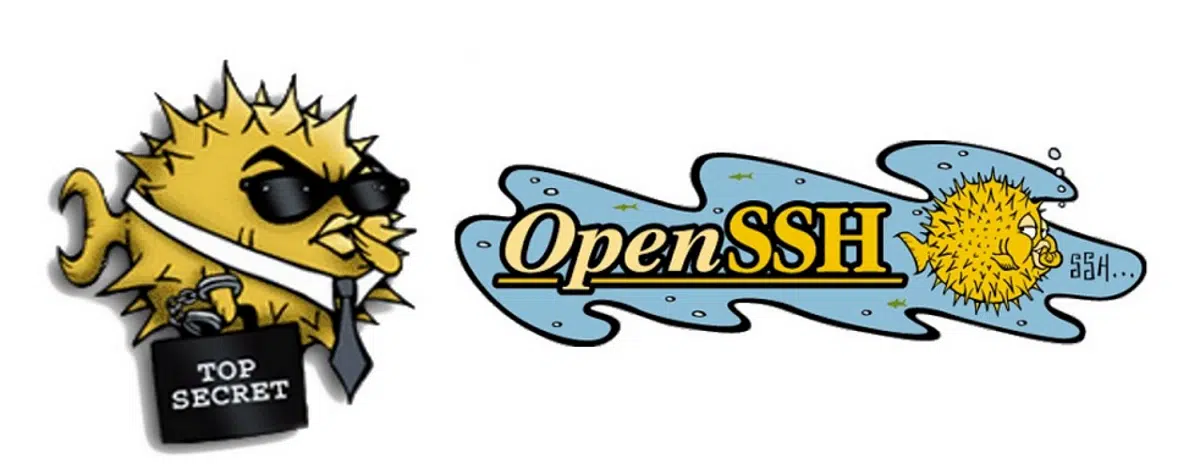 OpenSSH 8.8 arrives saying goodbye to ssh-rsa support, bug fixes and more |  Linux Addicts
