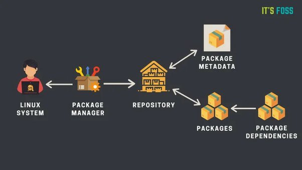 sources.list syntax
