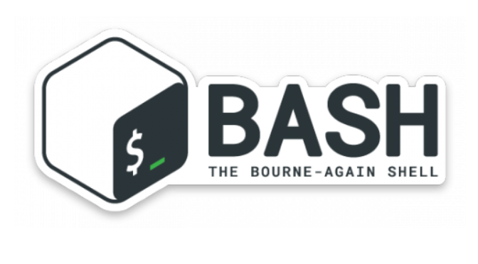 bash session history