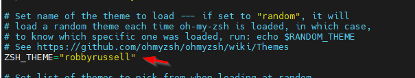 Oh My Zsh Tema Yapılandırması
