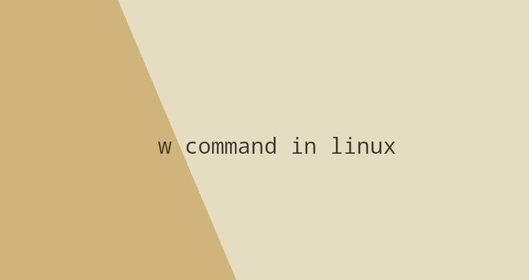 w command