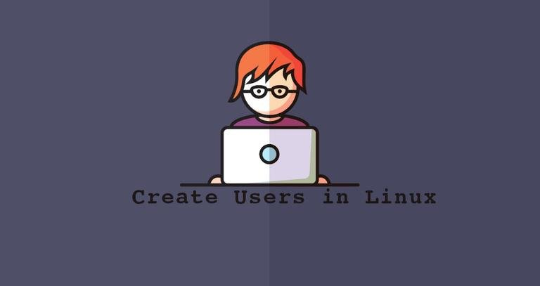 useradd command